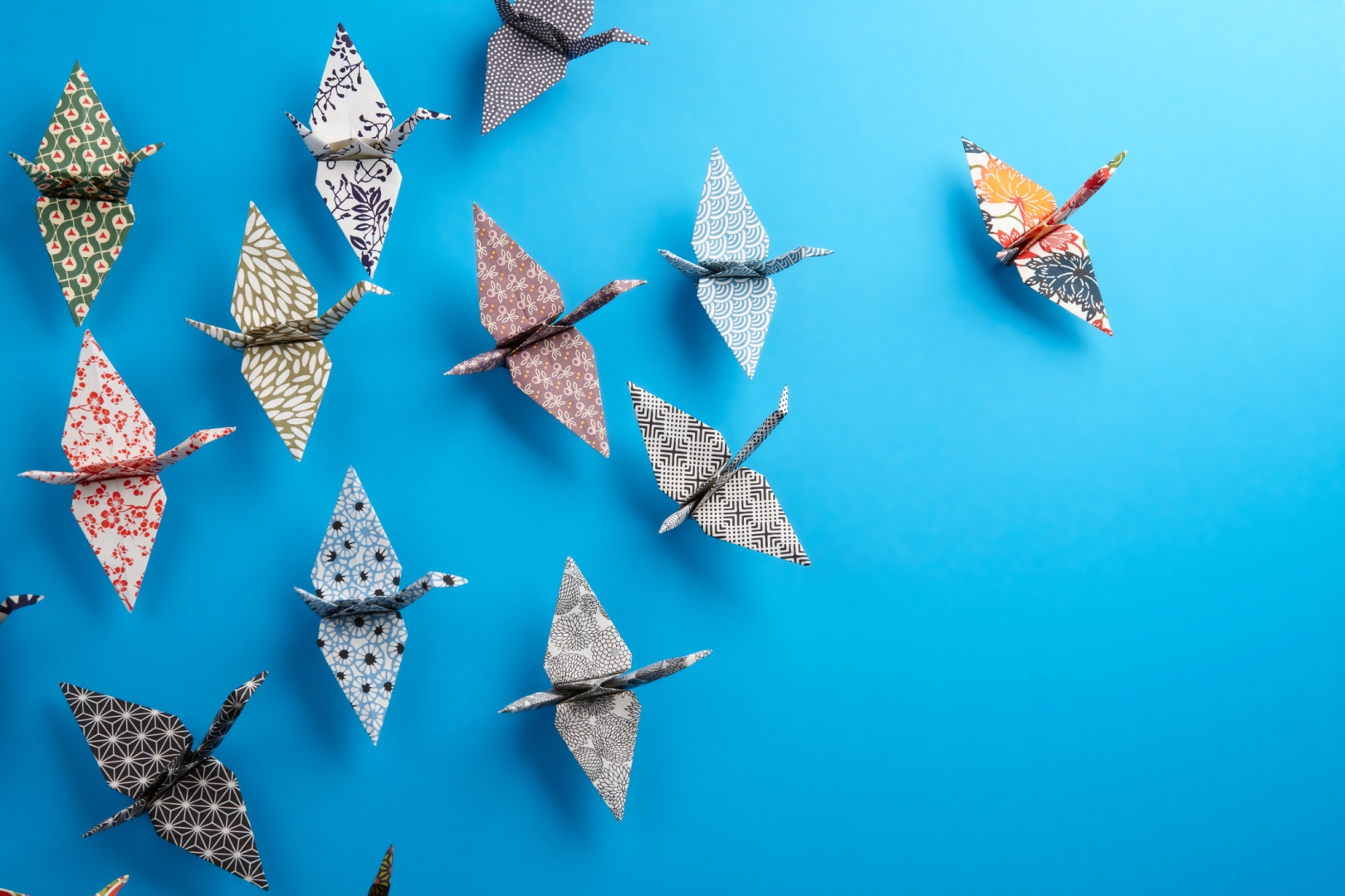 Oiseaux en origami sur fond bleu
