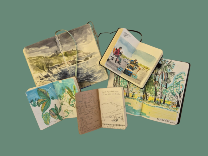 Carnets de voyage sur fond vert